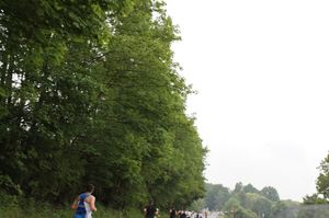 IMG_3090.JPG